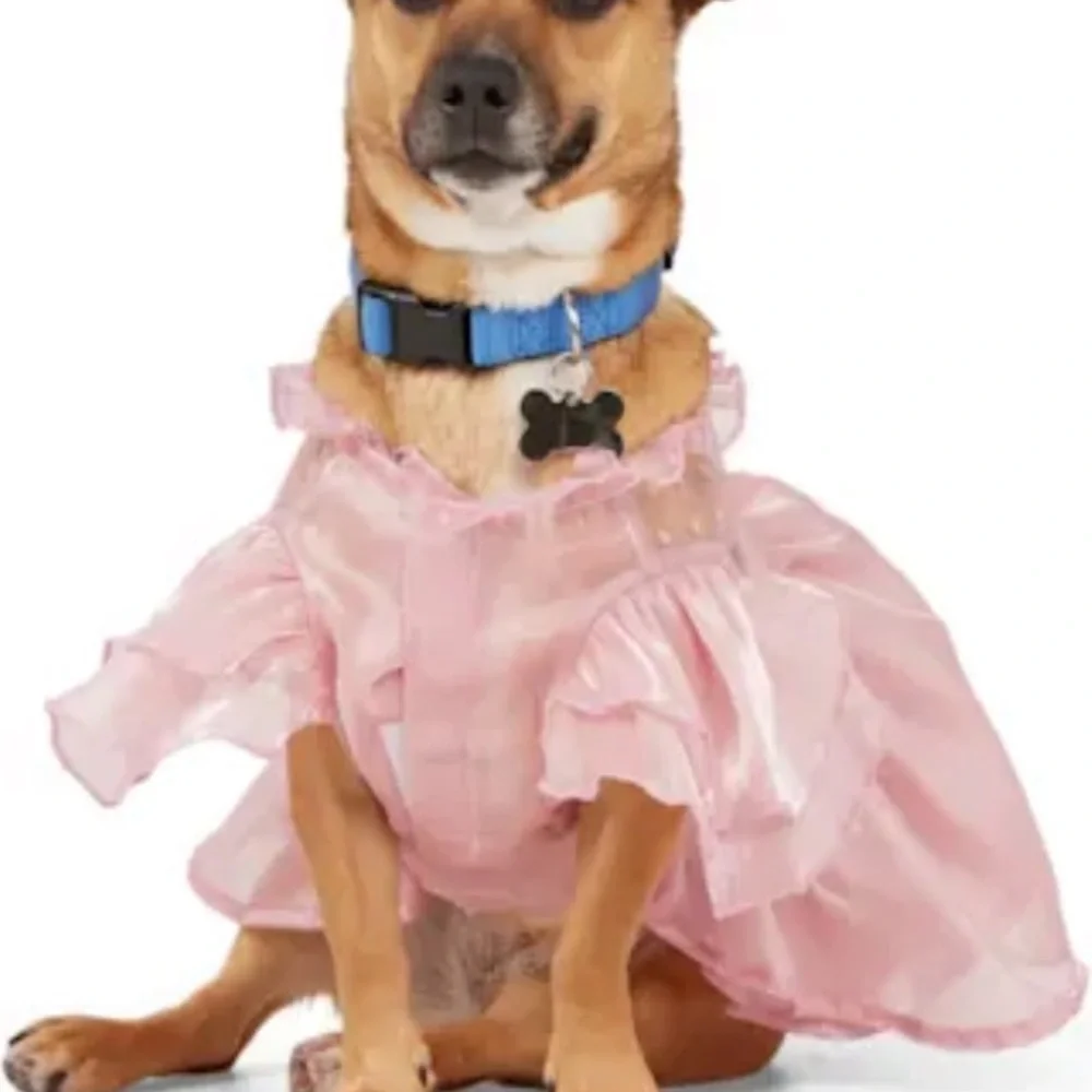 NWT Youly ruffle ‘the Charmer’ dog dress XS